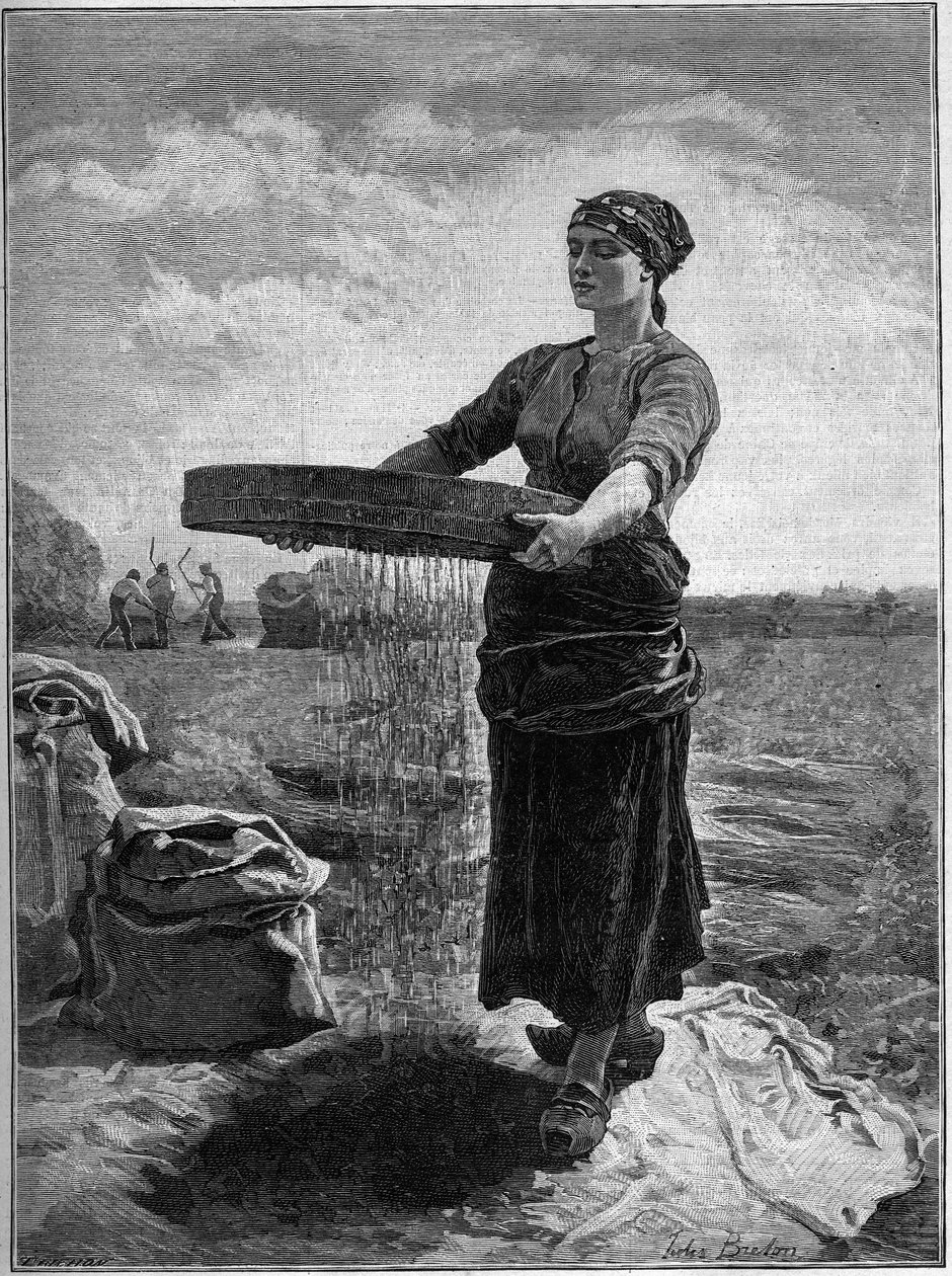 Rapsscreener: från målningen av Jules Breton. I "Familjen" från 1888. av Jules Breton