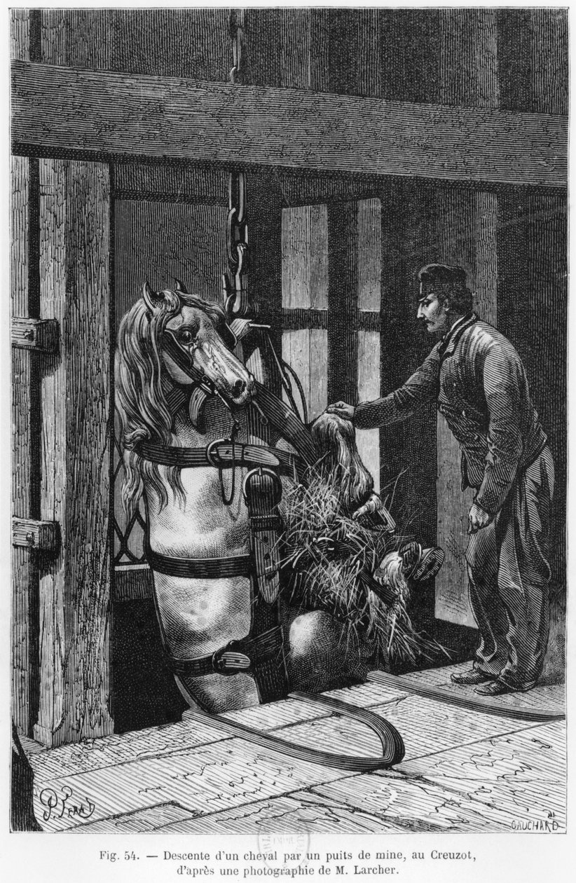 Häst som vinschas nerför kolgruben vid Le Creusot, illustration från 