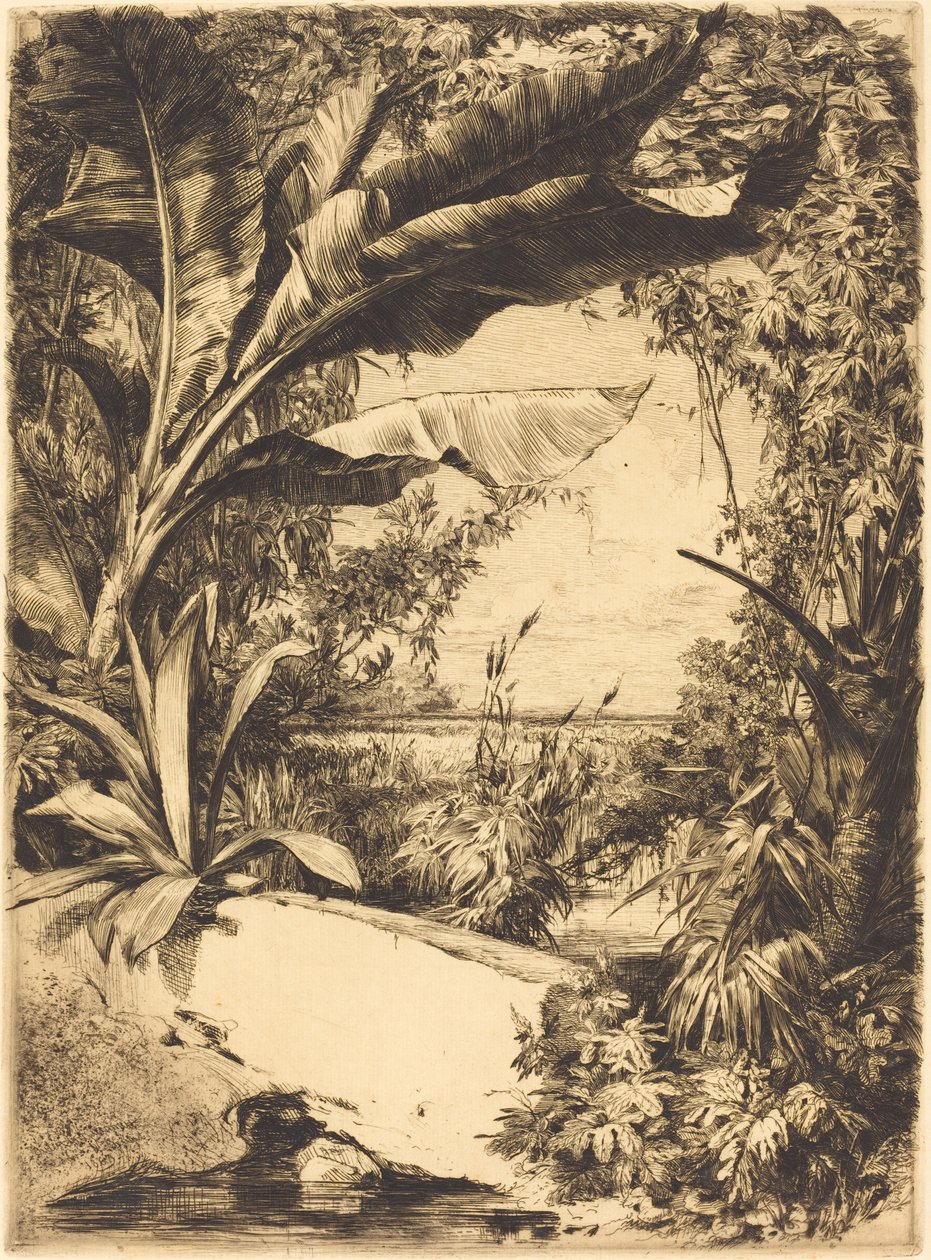 växthusväxter av Jules Ferdinand Jacquemart