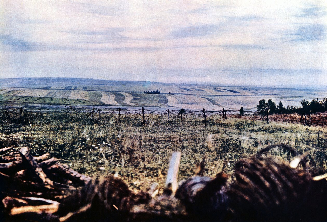 Hill 304 med taggtråd nära Verdun, september 1916 (autokrom) av Jules Gervais Courtellemont