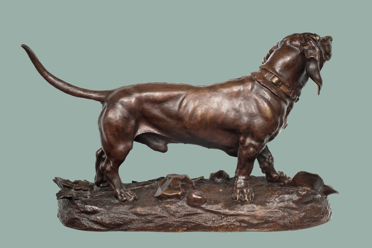 En Basset Hound (brons med brun patina) av Jules Pierre Moigniez