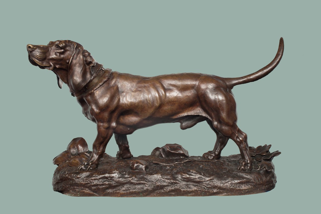 En Basset Hound (brons med brun patina) av Jules Pierre Moigniez
