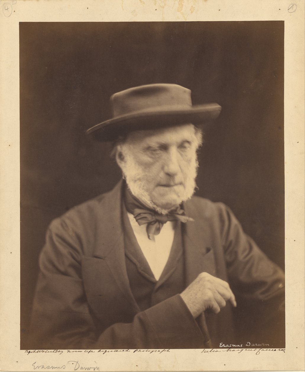 (Erasmus Darwin) av Julia Margaret Cameron