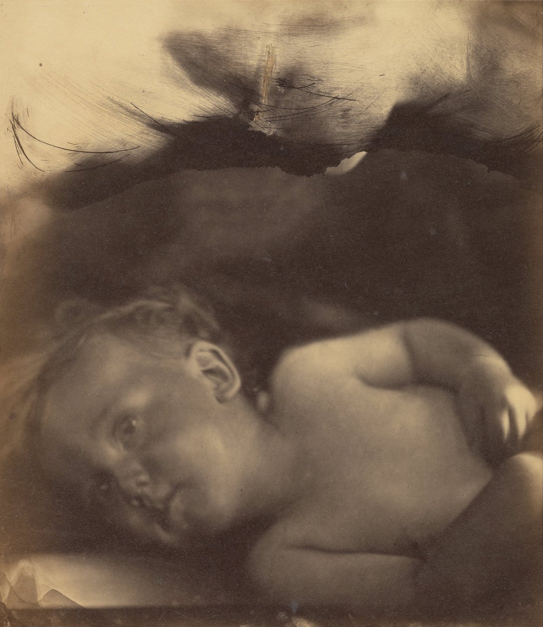 The Vision of Infant Samuel av Julia Margaret Cameron