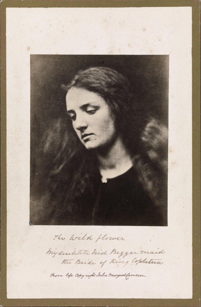 The Wild Flower av Julia Margaret Cameron