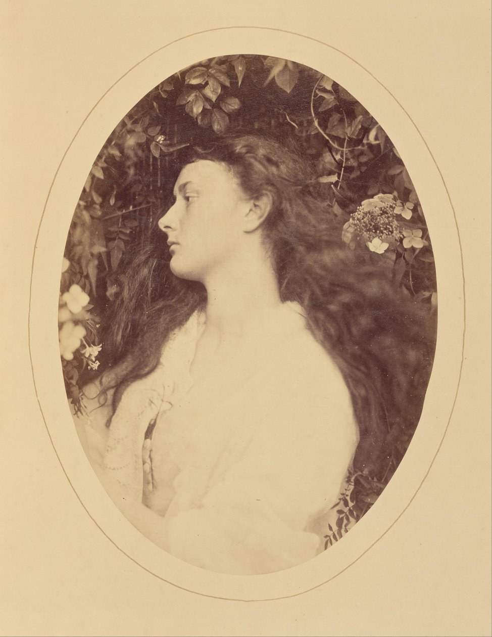 [Alethea] av Julia Margaret Cameron