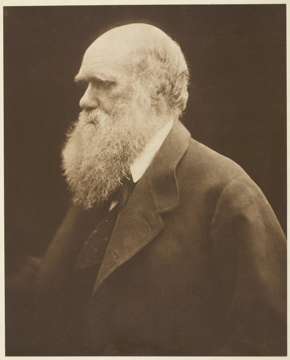 Charles Darwin av Julia Margaret Cameron