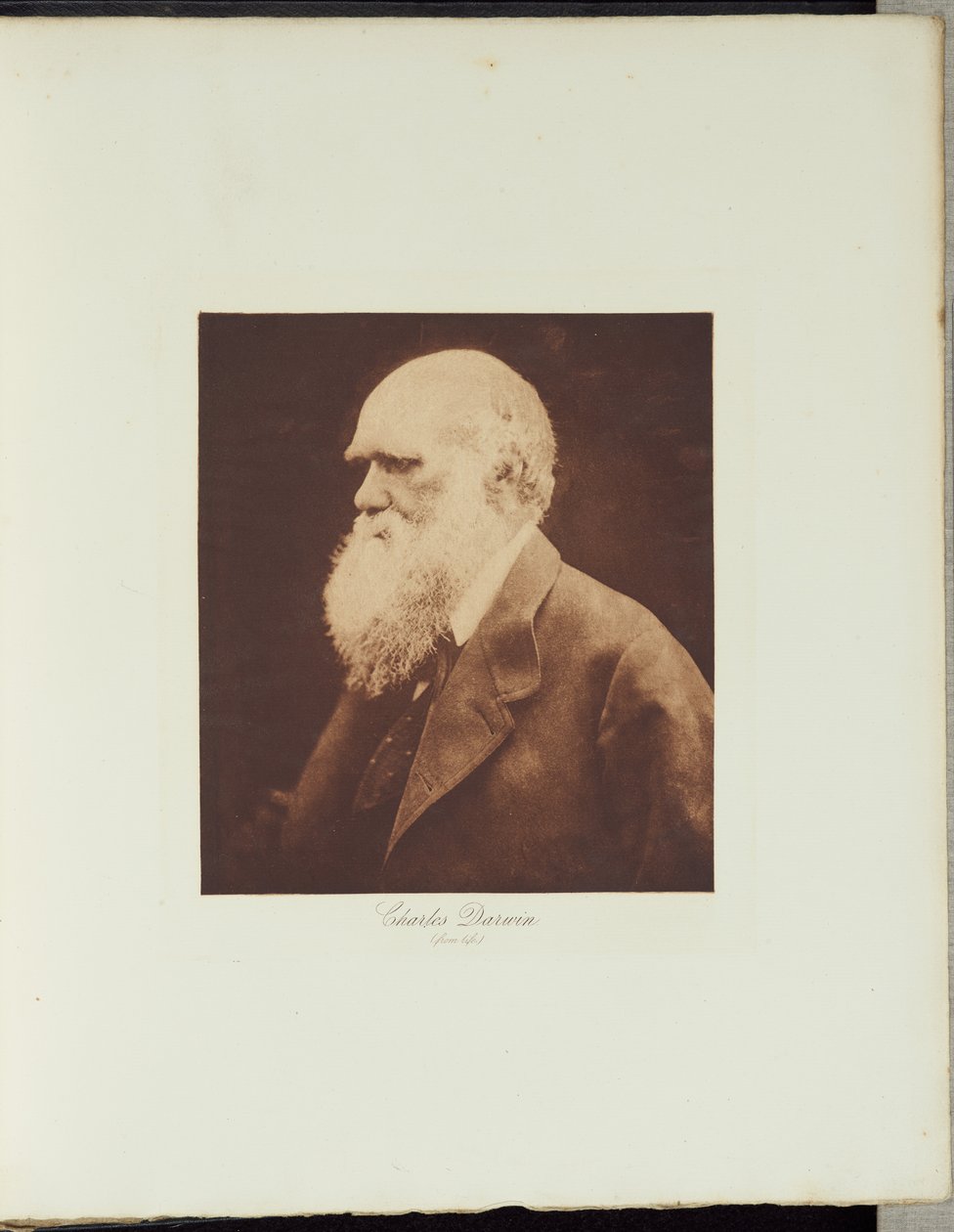 Charles Darwin av Julia Margaret Cameron