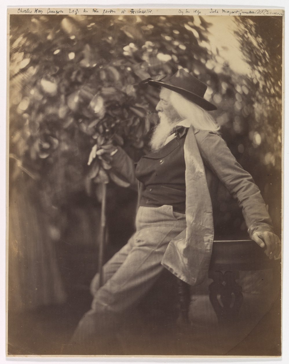 Charles Hay Cameron, Esq., i sin trädgård i Freshwater av Julia Margaret Cameron