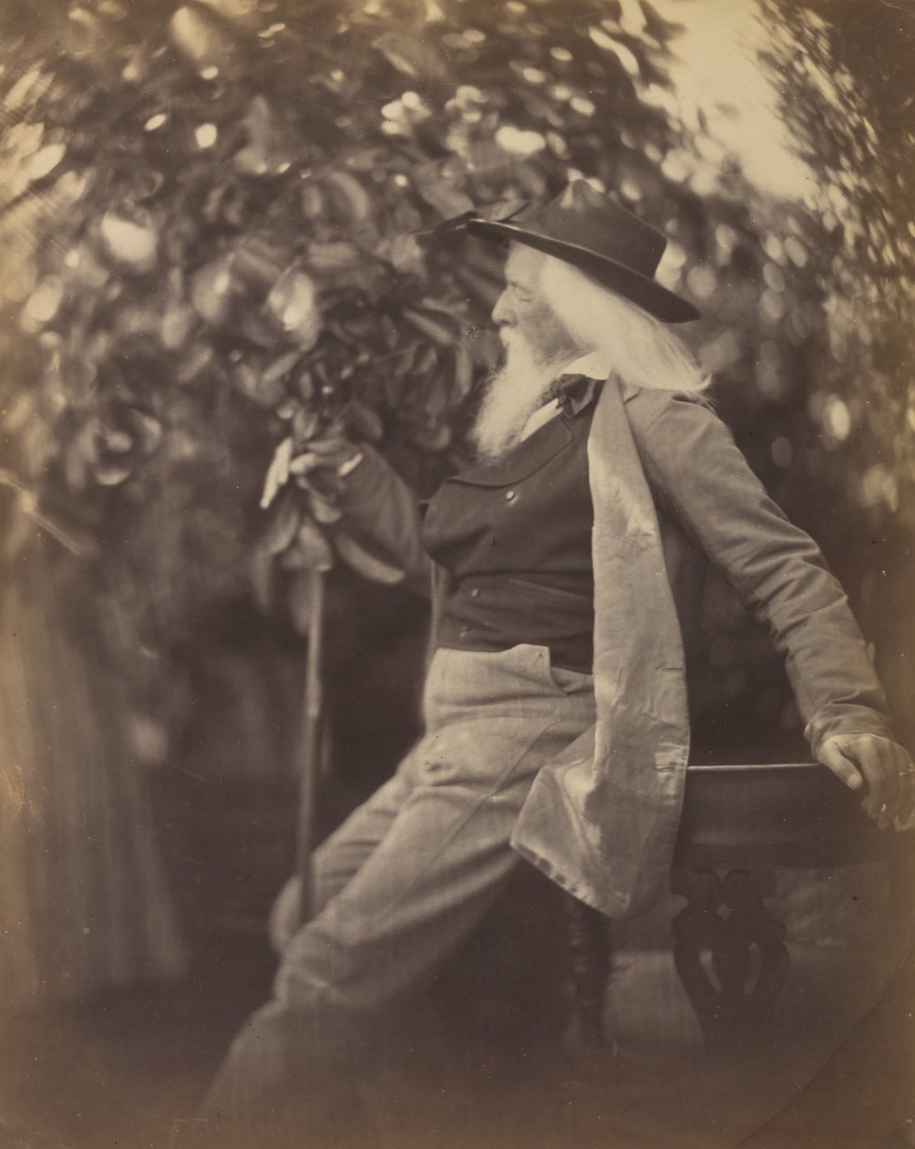 Charles Hay Cameron, Esq., i sin trädgård vid sötvatten, 1865-67. av Julia Margaret Cameron