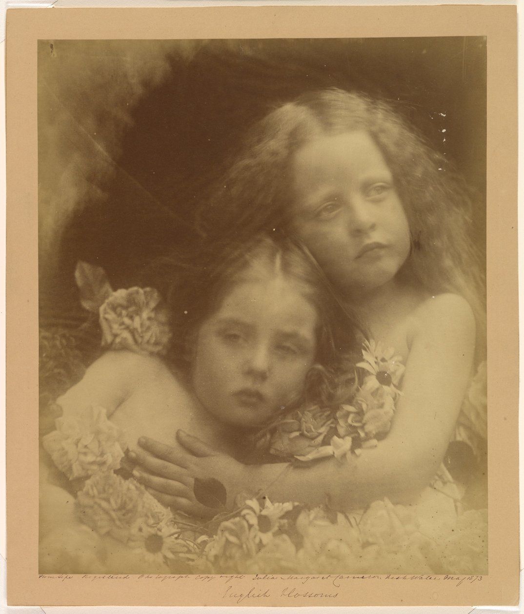 Engelska blommor av Julia Margaret Cameron