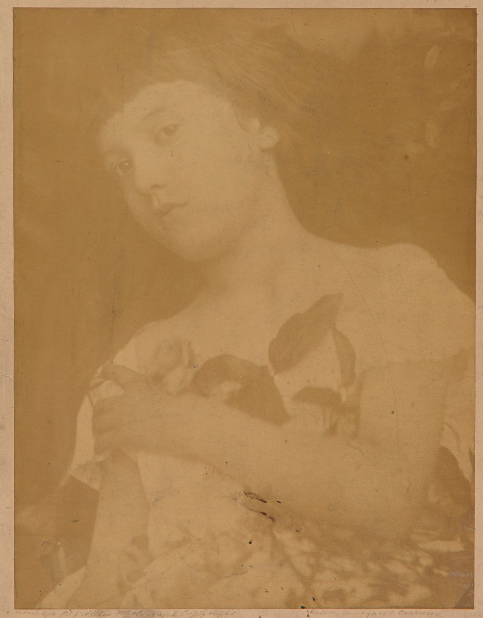 Florens av Julia Margaret Cameron