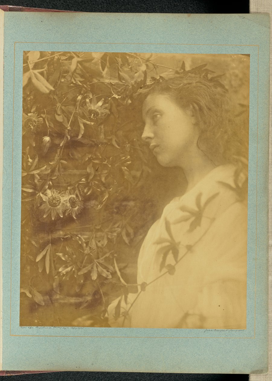 Maud ”En vacker tår har fallit” / ”Från passionsblomman vid porten.” av Julia Margaret Cameron