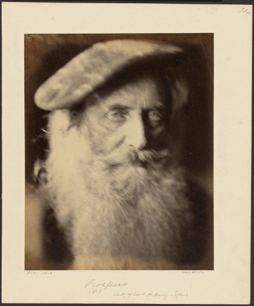 Välstånd av Julia Margaret Cameron