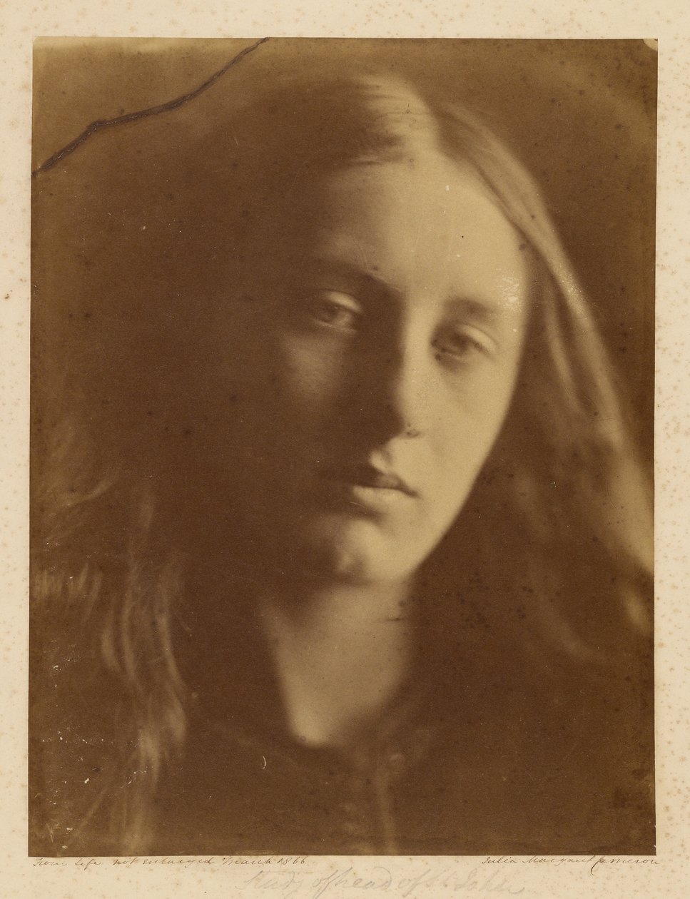 [Studera huvudet på St. John] av Julia Margaret Cameron