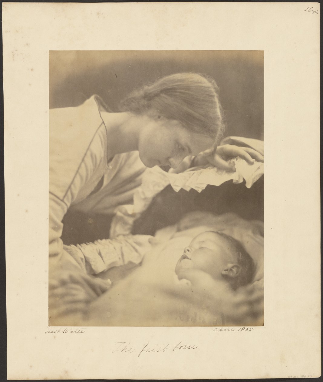 Den förstfödde av Julia Margaret Cameron
