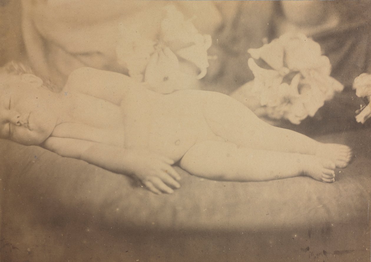 Liljan och lammet, ca. 1865. av Julia Margaret Cameron