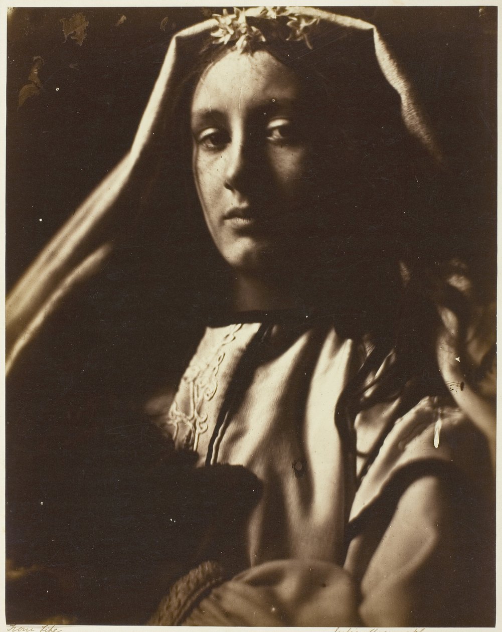 Neopolitanen av Julia Margaret Cameron