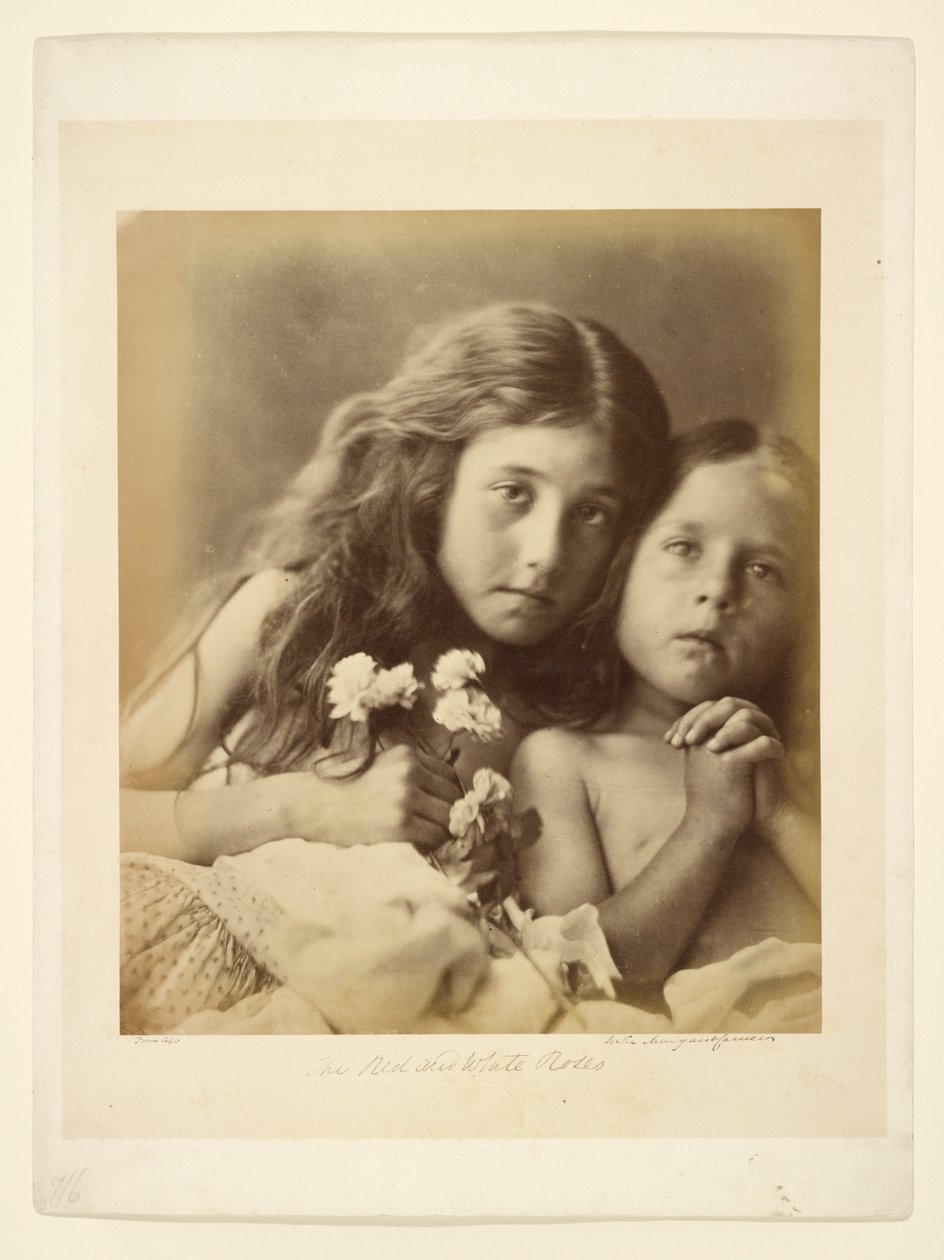 De röda och vita rosorna av Julia Margaret Cameron