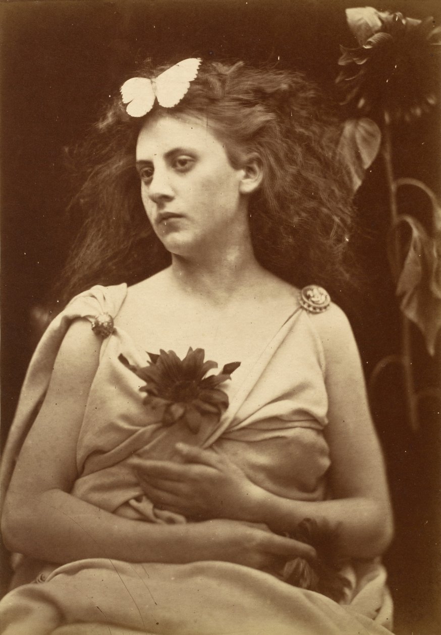 Solrosen,tidigt 1870-tal (foto) av Julia Margaret Cameron