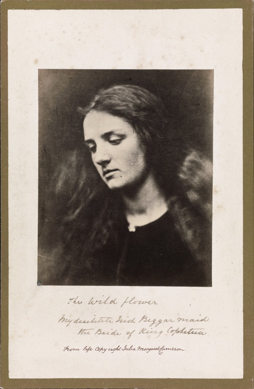 Den vilda blomman av Julia Margaret Cameron