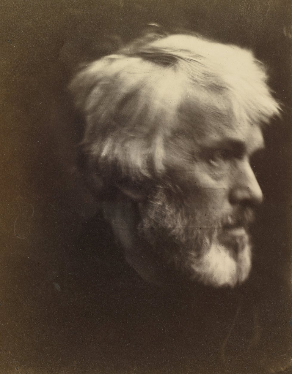 Thomas Carlyle (1795 - 1881) av Julia Margaret Cameron