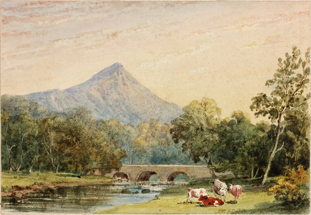 Sugarloaf Hill från Tynnahinch (wc på papper (klistrat på kort)) av Julia Swinburne