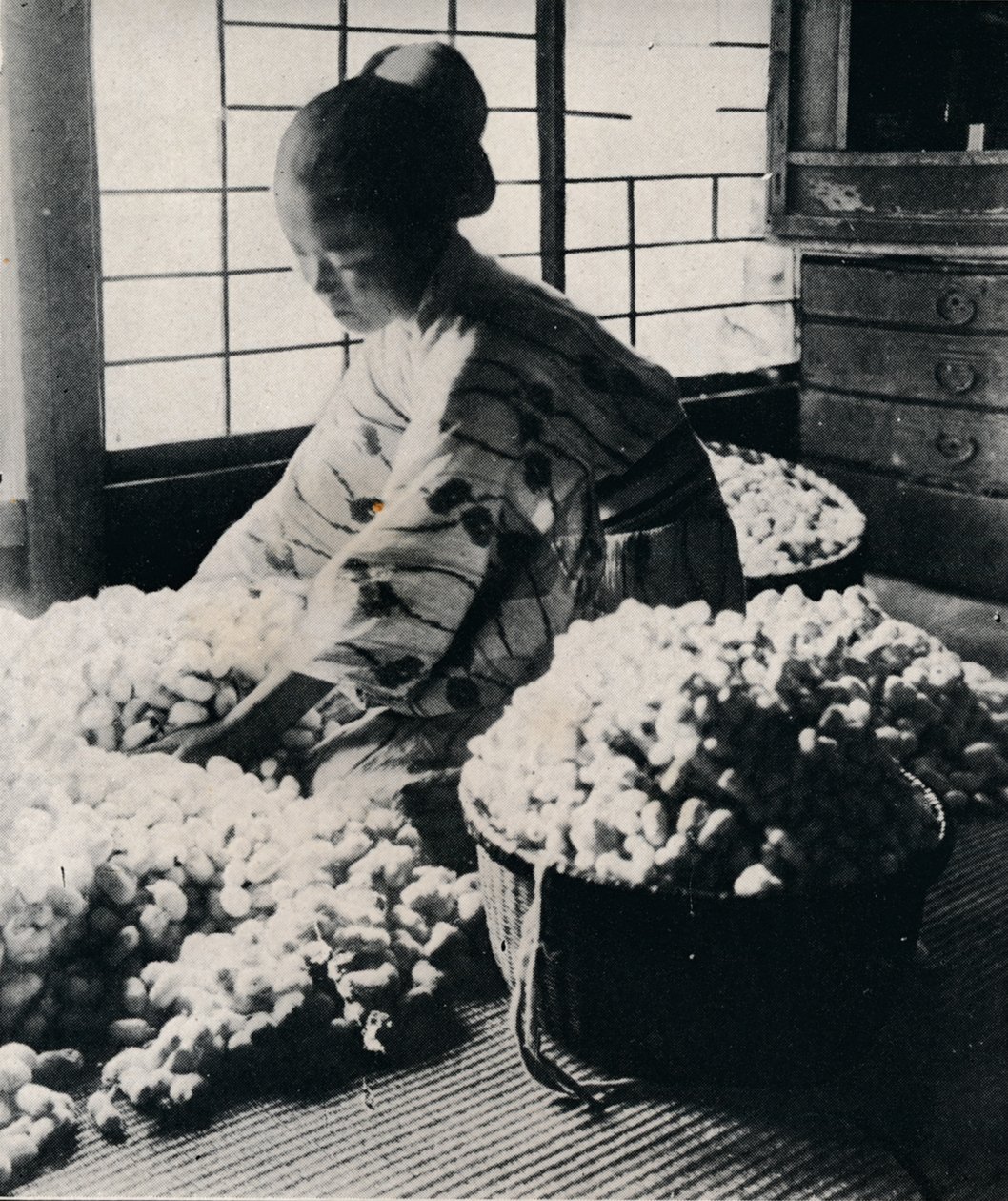 5000 silkesmaskar äter 125 lbs mullbär för 8 härvor av siden, vilket gör en kimono, c1900, 1921 av Julian Leonard Street