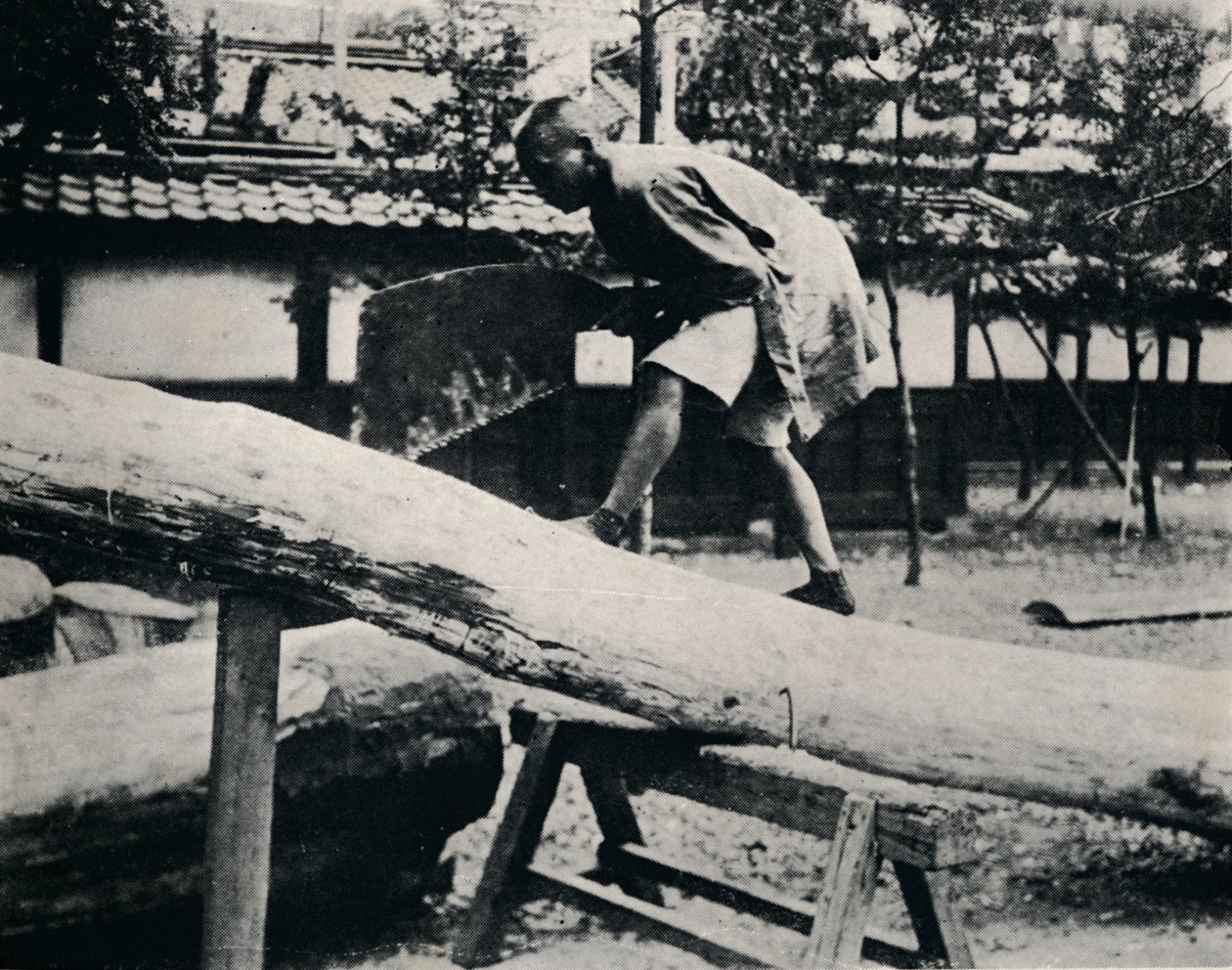 Sågning och hyvling görs med drag istället för drivande rörelse, c1900, 1921 av Julian Leonard Street