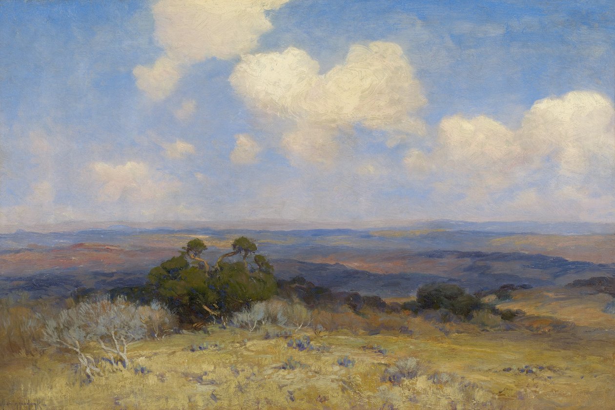 Solsken och skugga av Julian Onderdonk
