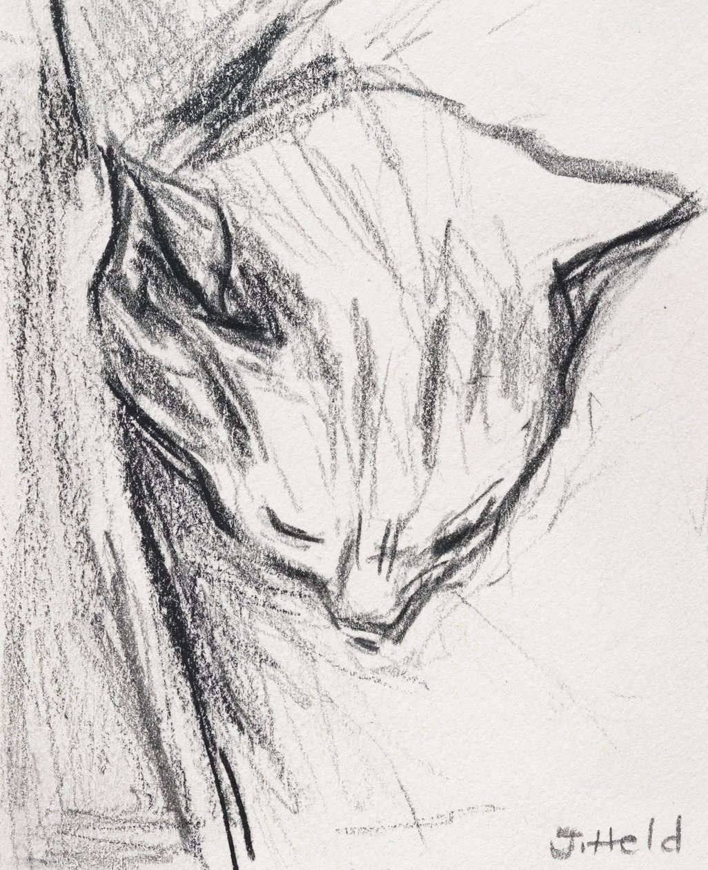 Sleeping Cat, 2015, (penna) av Julie Held