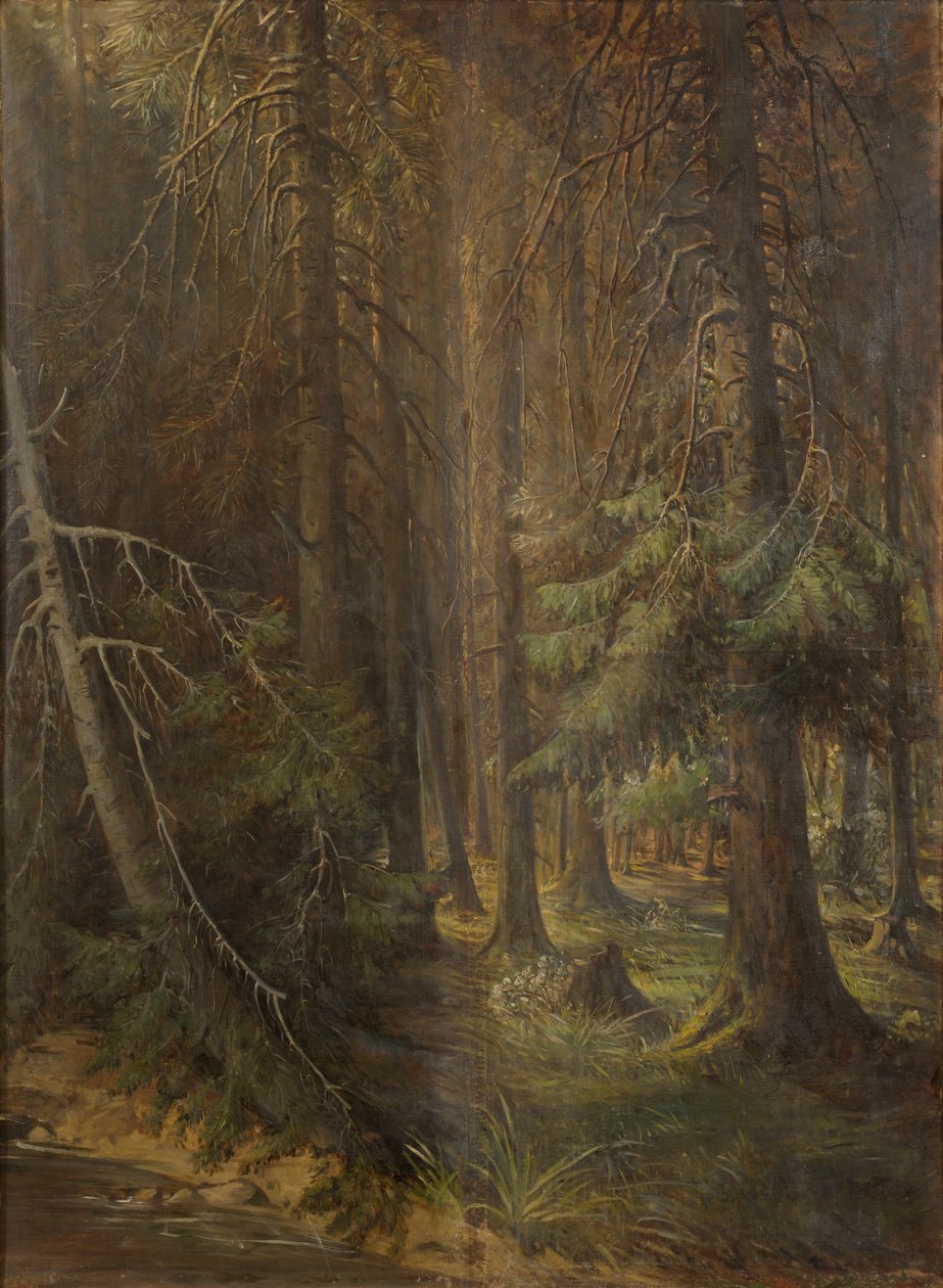 Skog av Julie Wilhelmine Hagen Schwarz