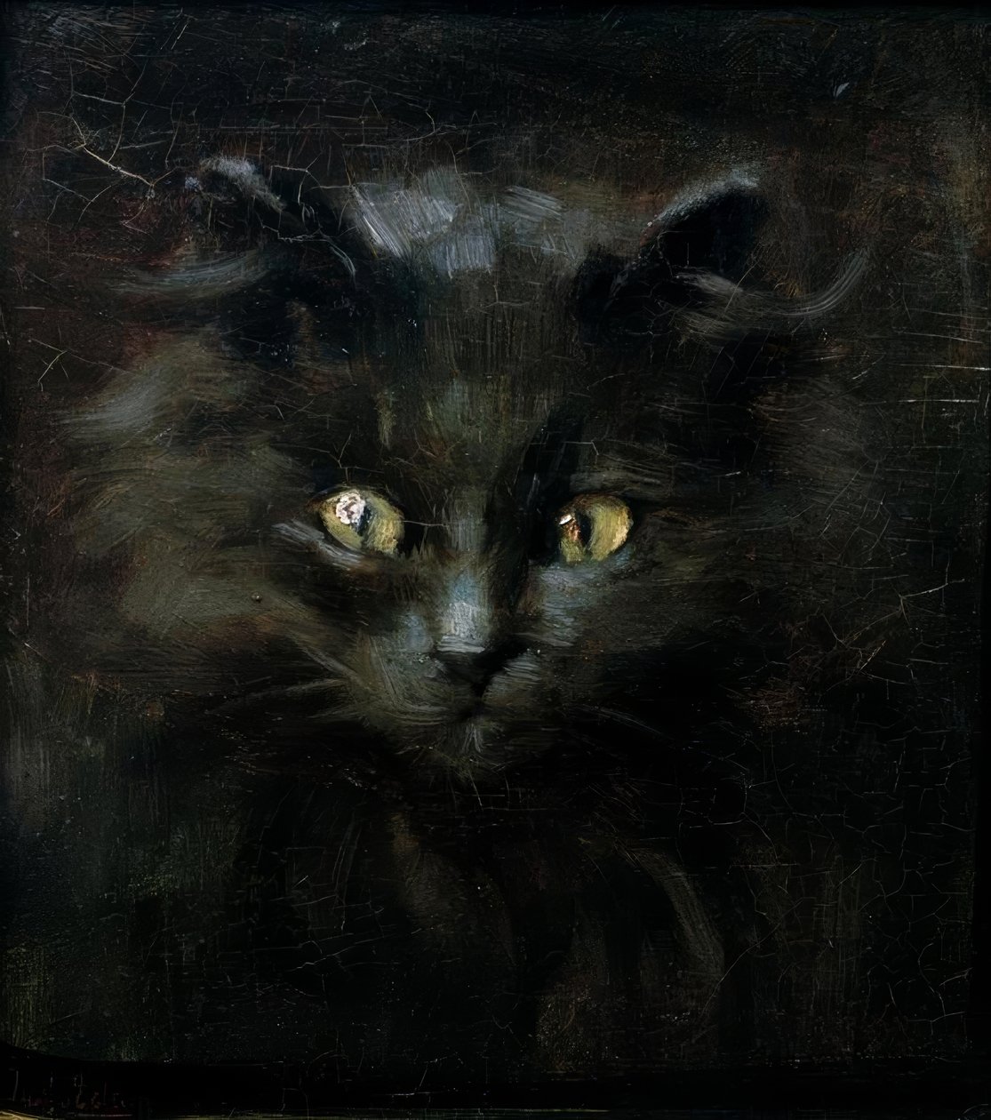 Porträtt av en katt av Julius Adam