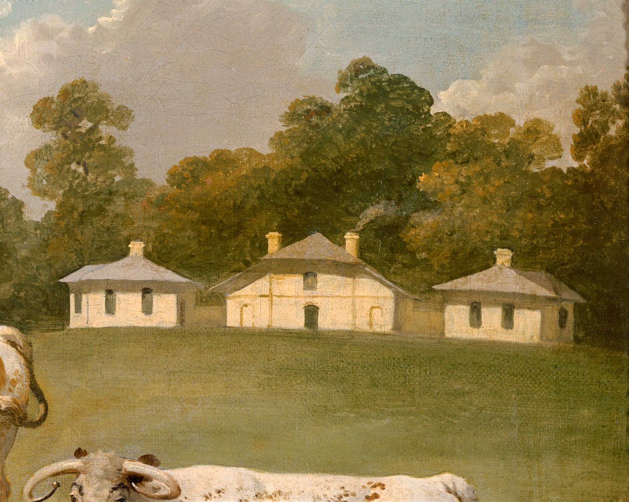 Tre långhornade nötkreatur i landskap (olja på duk) (detalj av 369486) av Julius Caesar Ibbetson