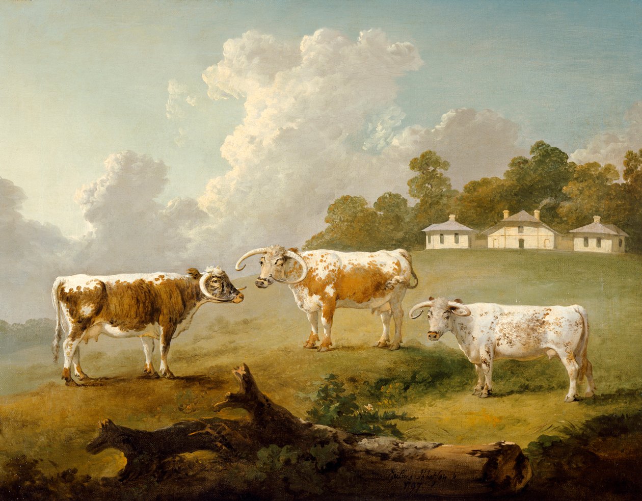 "Tre långhornade nötkreatur i Kenwood", 1797 av Julius Caesar Ibbetson