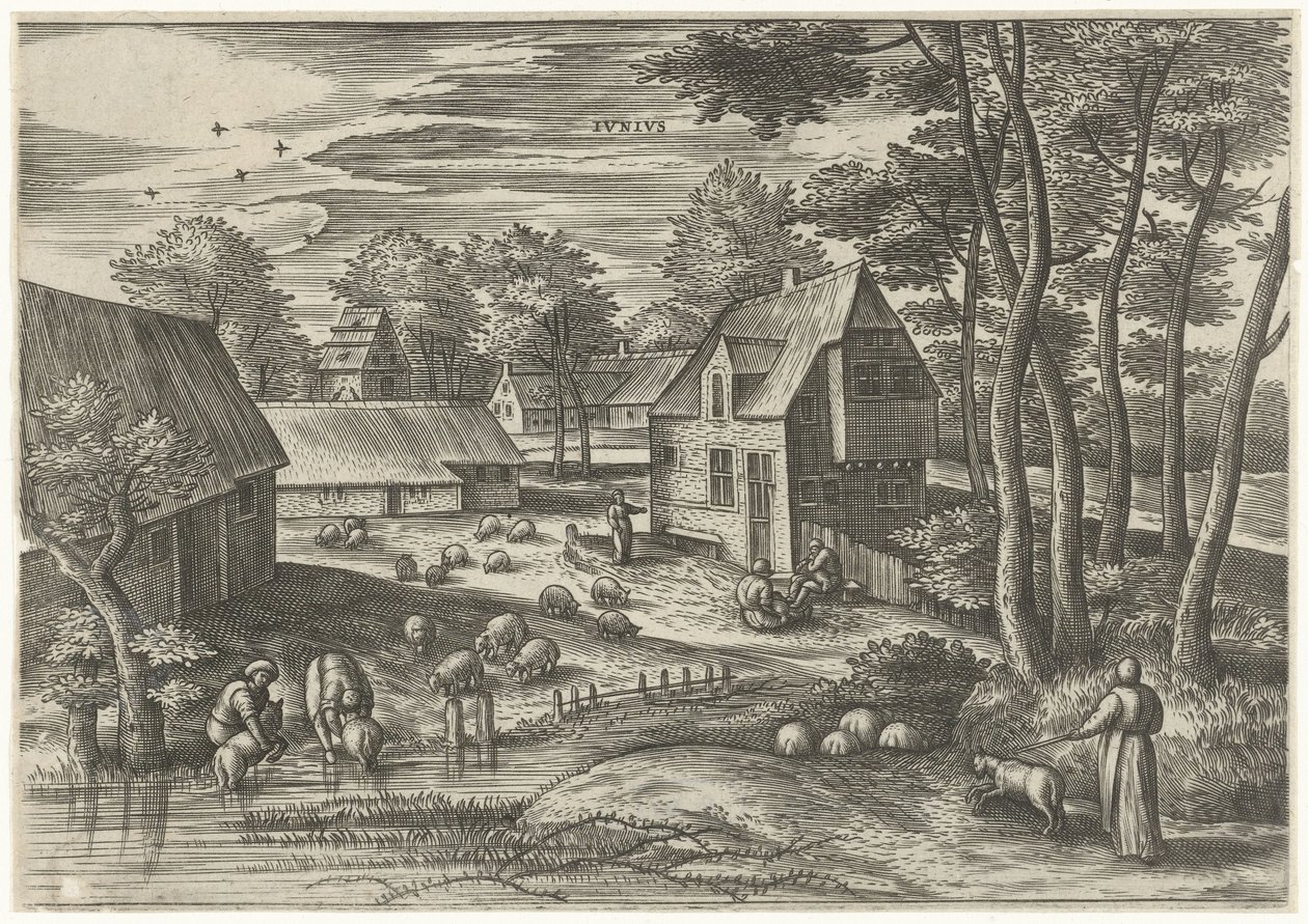 juni Ivnivs (titel på objekt) De tolv månaderna (serietitel) av Julius Goltzius