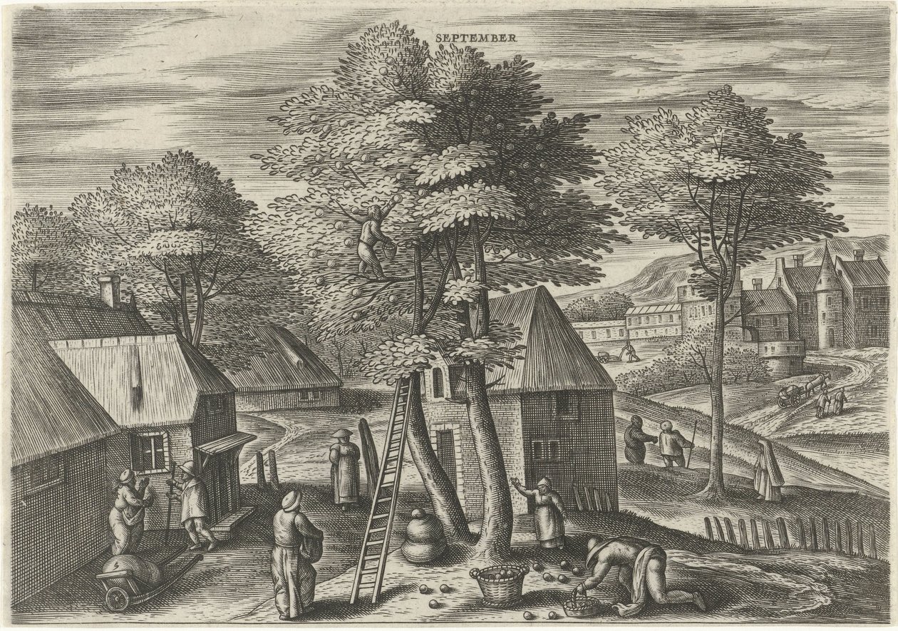 september (titel på objekt) De tolv månaderna (serietitel) av Julius Goltzius