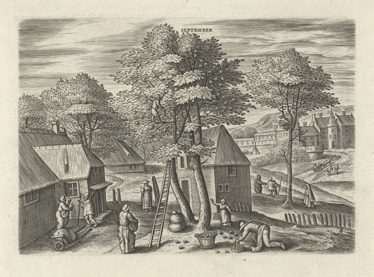 september (titel på objekt) De tolv månaderna (serietitel) av Julius Goltzius