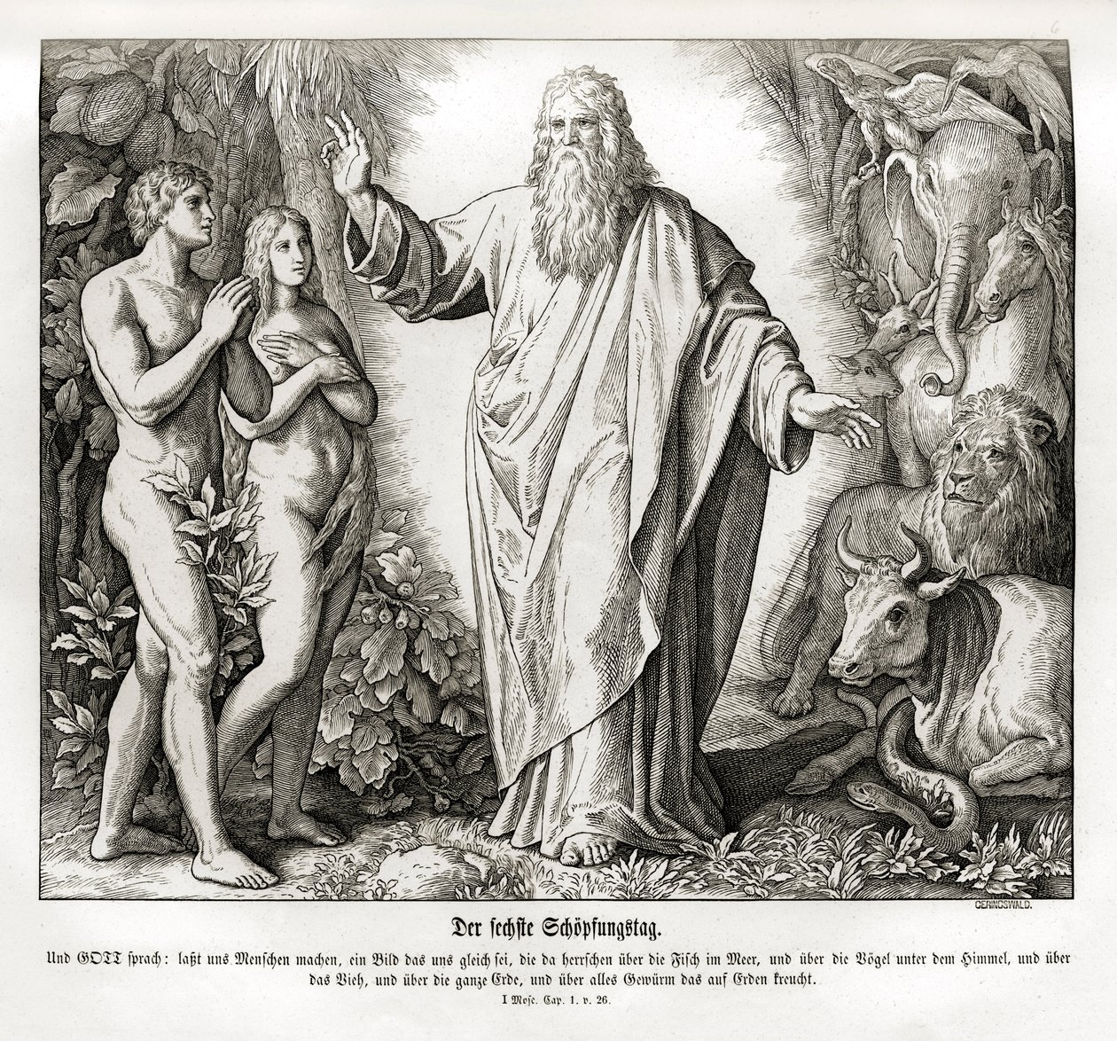 Skapelsens sjätte dag, Genesis av Julius Schnorr von Carolsfeld