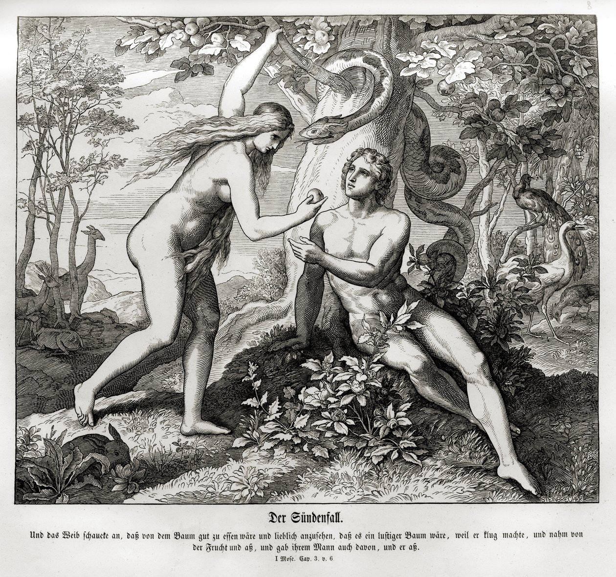 Syndafallet, Genesis av Julius Schnorr von Carolsfeld