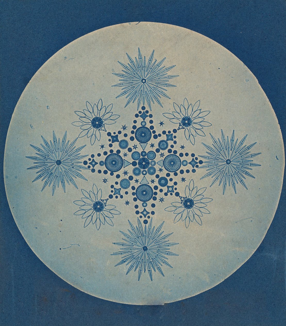 [Kalgelalgerfrustler], ca. 1870. av Julius Wiesner.