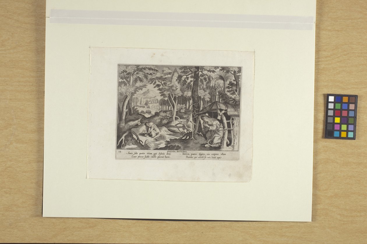 Sylvia Ruffina av Justus Sadeler