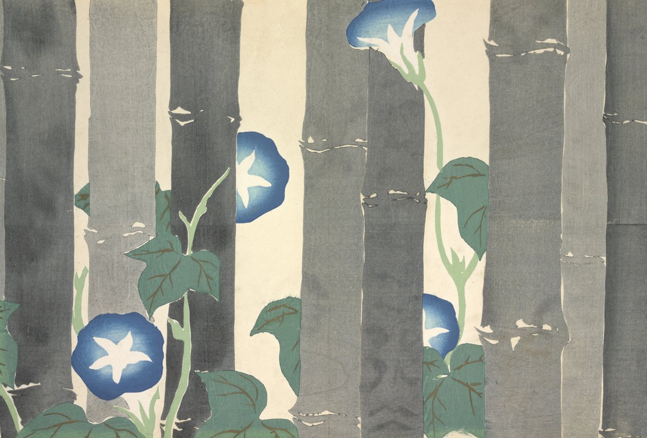 Asagao, från Momoyo-gusa av Kamisaka Sekka