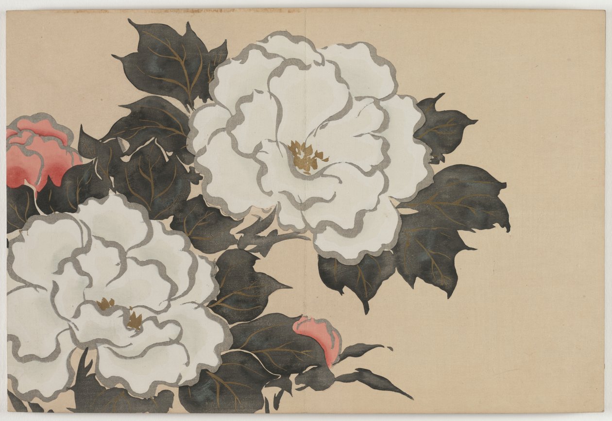 Blommor i hundra världar (Momoyogusa): Pioner (Fukamigusa) av Kamisaka Sekka