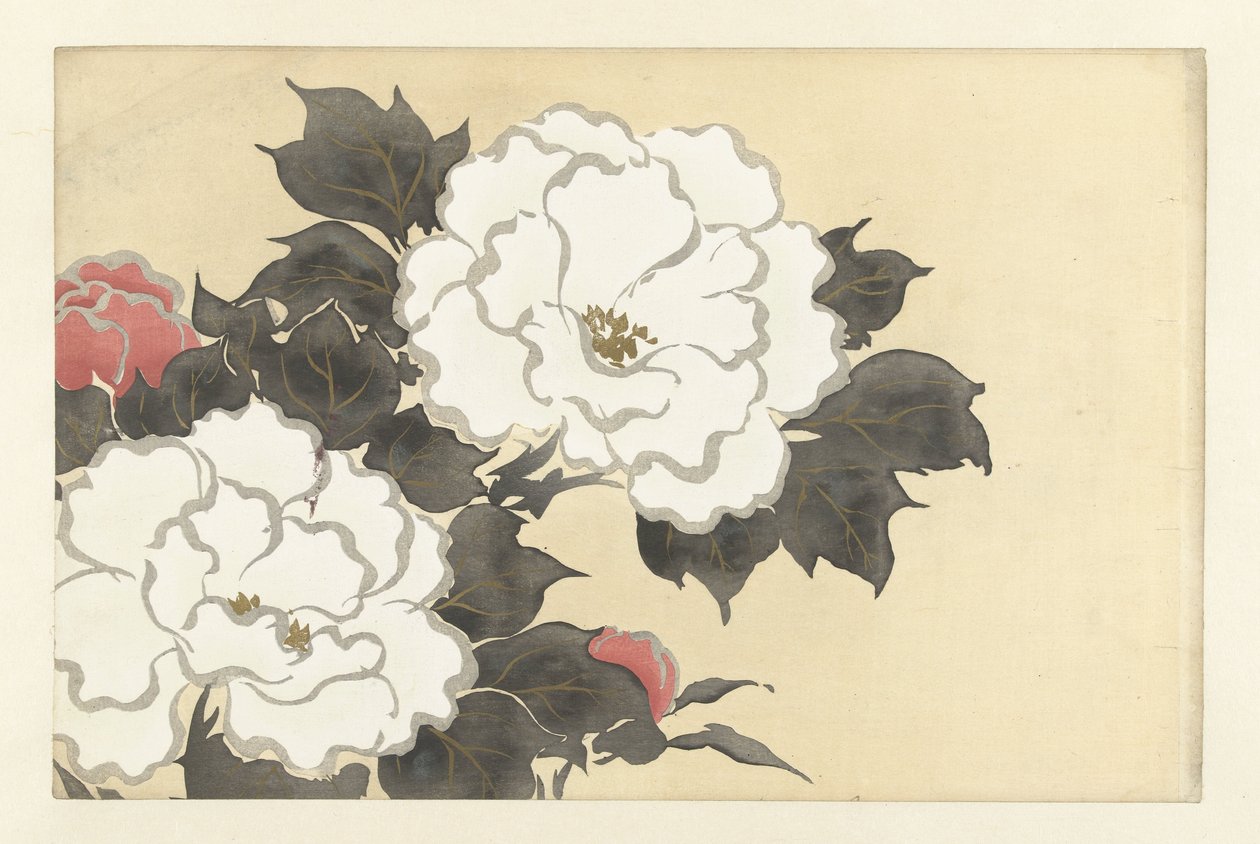 Pioner fukamigusa Flowers of a Hundred Worlds (serietitel) Momoyogusa, vol. 1 (serietitel) av Kamisaka Sekka