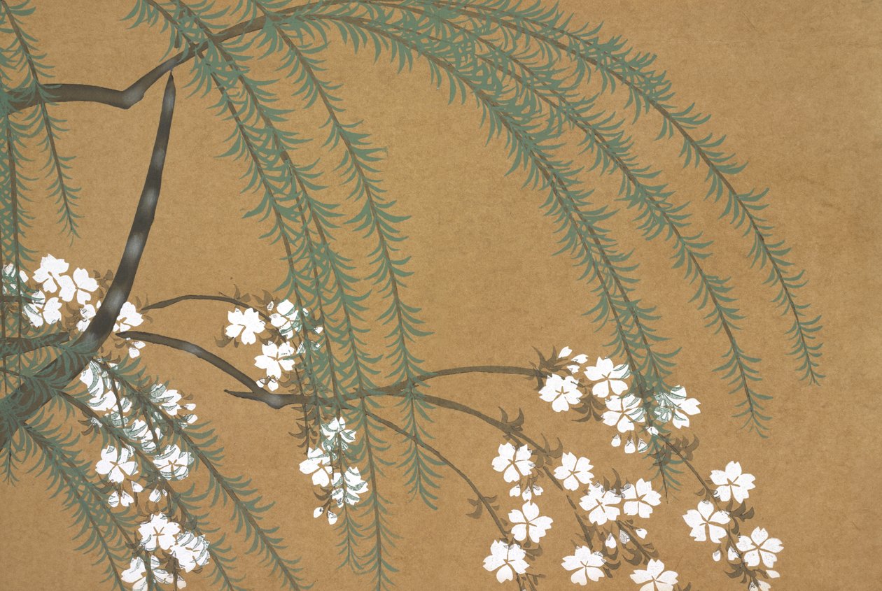 Yanagi Sakura, fromomoyogusa av Kamisaka Sekka