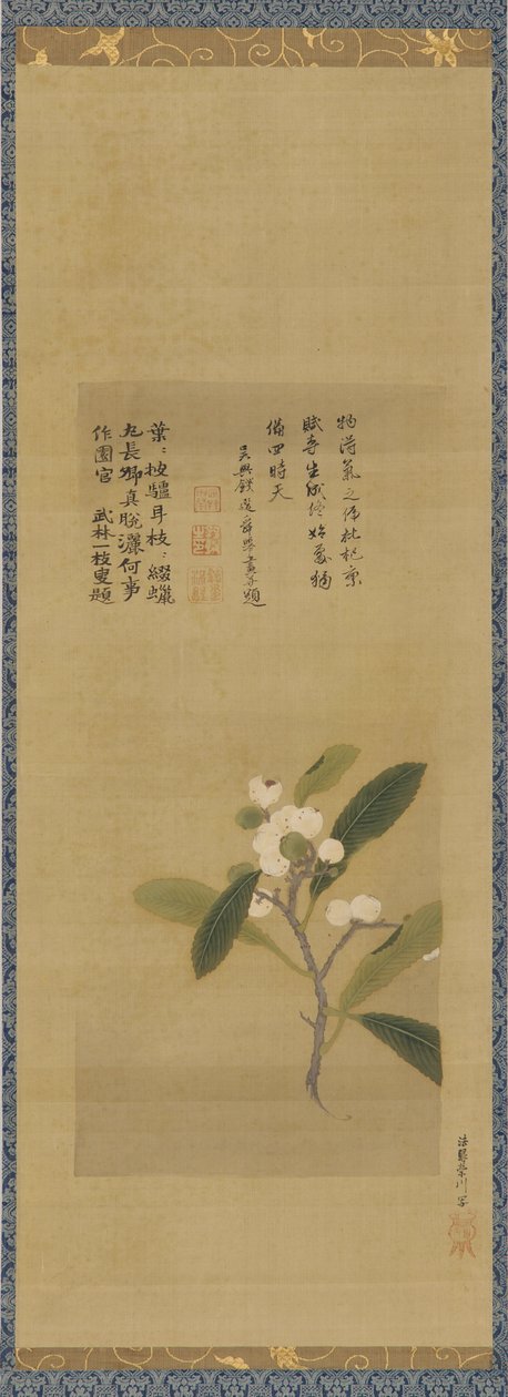 En gren av loquats, Edo-perioden, 1700-talet. av Kanô Eisen