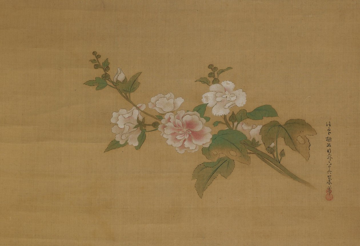 En gren av blommande hibiskus, Edo-perioden (färg på siden) av Kanō Tan’yū