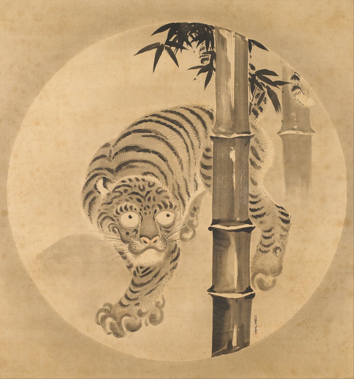 Tiger som växer fram ur bambu av Kano Tsunenobu