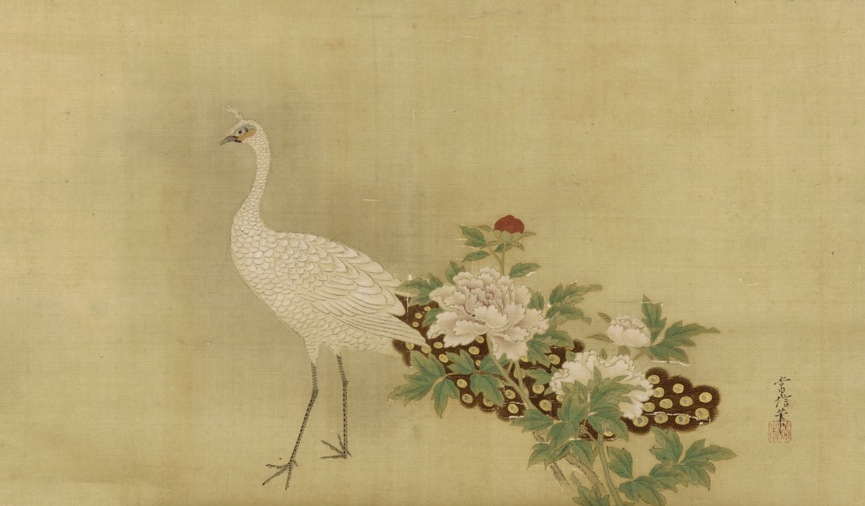 Vit påfågel och pioner, Edo-period, mitten av 1600- och början av 1700-talet (bläck, färg och guld på siden) av Kano Tsunenobu